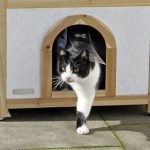 La caseta para gatos grandes Tyrol Alpin tiene una cómoda puerta