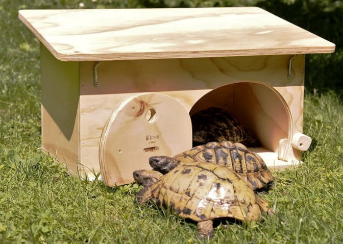 La caseta para tortugas Blitzen es un agradable refugio
