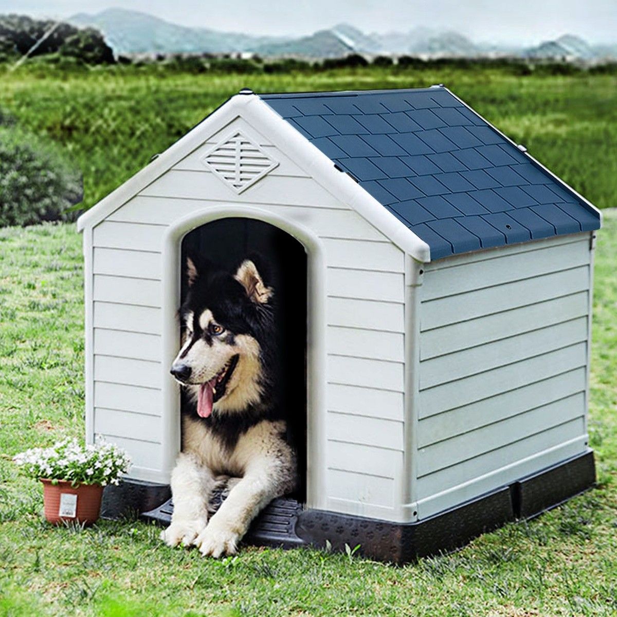 caseta de perros para exteriores 